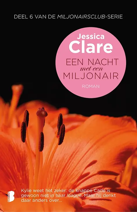 Cover image of Een nacht met een miljonair