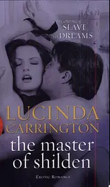 The Master of Shilden cover image