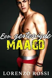 Een gestenigde maagd cover image