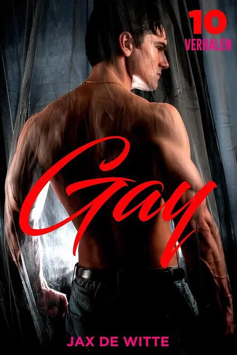 Cover image of 10 Gay Verhalen