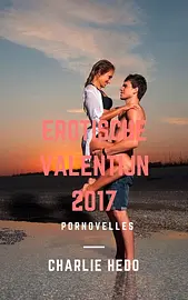 Spannende Kerstmis en Valentijn - Erotische Valentijn 2017 cover image