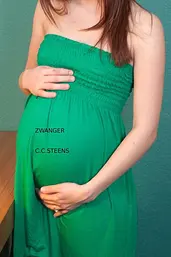 Zwanger cover image
