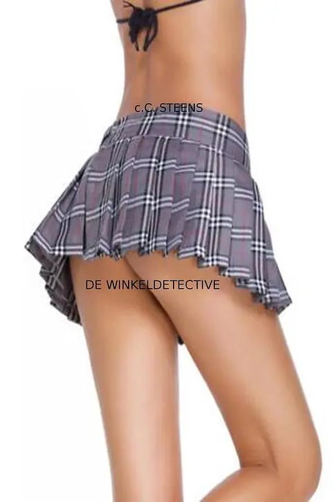 Cover image of De Winkeldetective