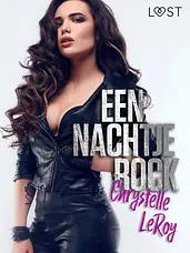 Een nachtje rock - Een erotisch verhaal cover image