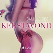 LUST - Kerstavond - erotisch verhaal cover image