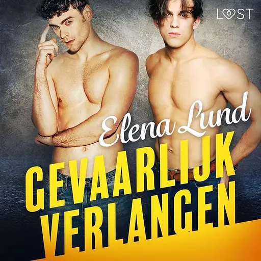 Cover image of Gevaarlijk verlangen 1 - Gevaarlijk verlangen - erotisch verhaal