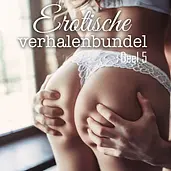 Erotische verhalenbundel cover image