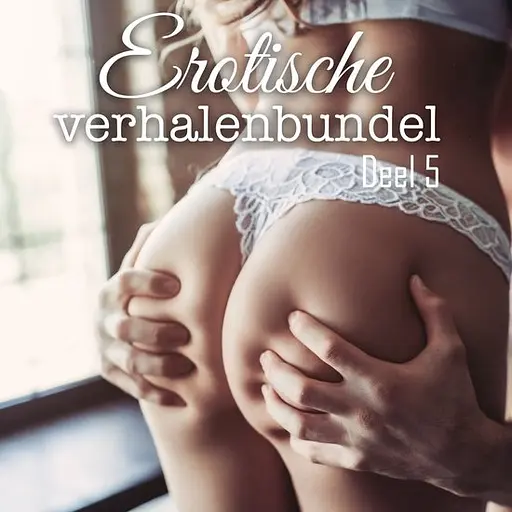Cover image of Erotische verhalenbundel