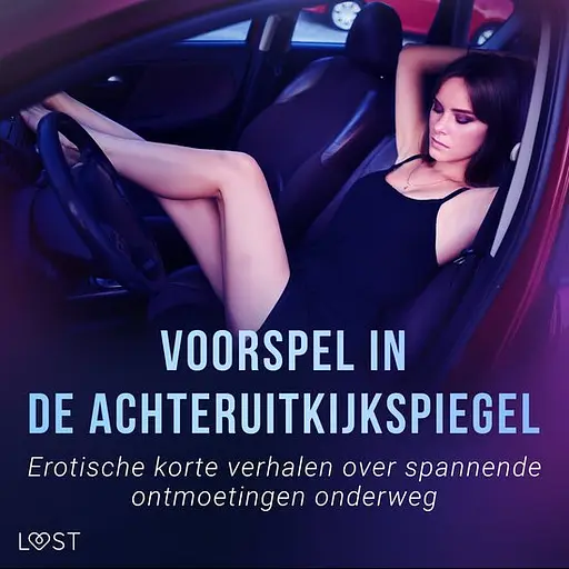 Cover image of Voorspel in de achteruitkijkspiegel: Erotische korte verhalen over spannende ontmoetingen onderweg