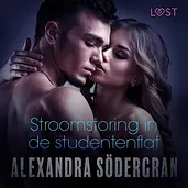 LUST - Stroomstoring in de studentenflat - erotisch verhaal cover image