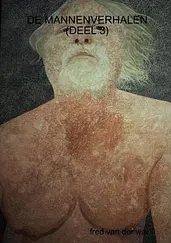 De Mannenverhalen (Deel 3) cover image