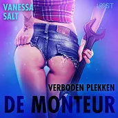 Verboden plekken - Verboden plekken: De monteur - erotisch verhaal cover image