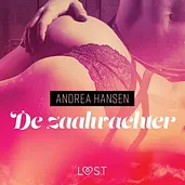 LUST - De zaalwachter - erotisch verhaal cover image