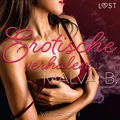 LUST - Verlangen - erotische verhalen cover image