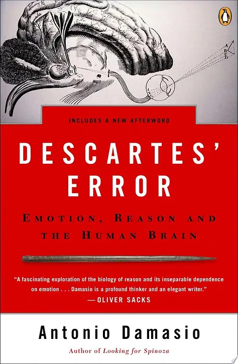 Cover image of Descartes' Error