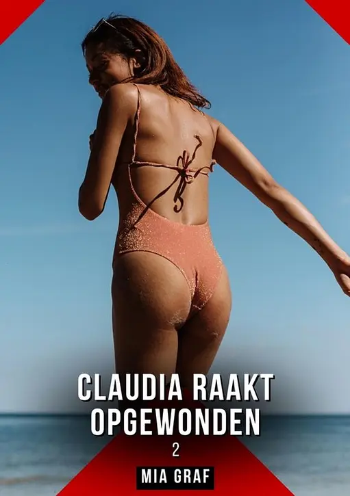 Cover image of Claudia raakt opgewonden. 2