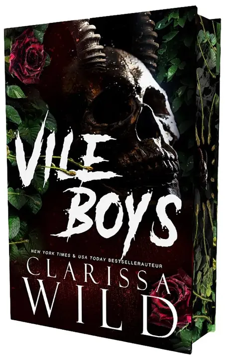 Cover image of Spine Ridge University 3 - Vile boys