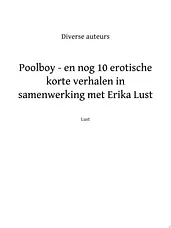 Poolboy - en nog 10 erotische korte verhalen in samenwerking met Erika Lust cover image