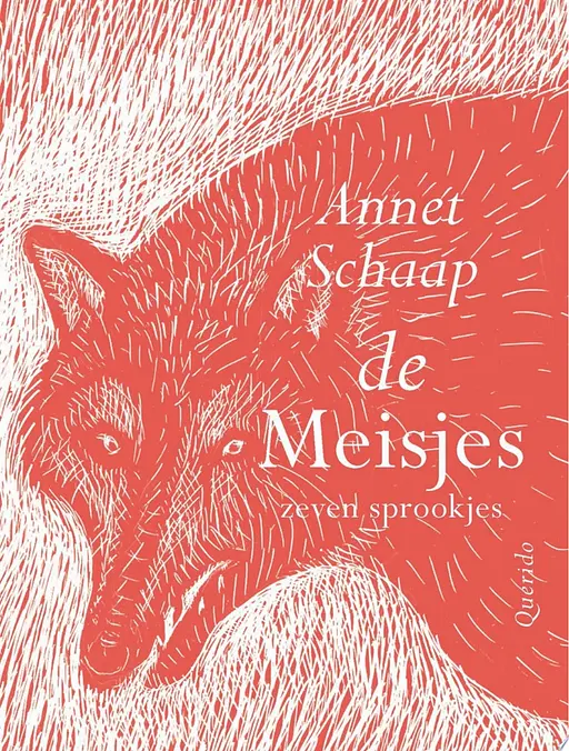 Cover image of De meisjes