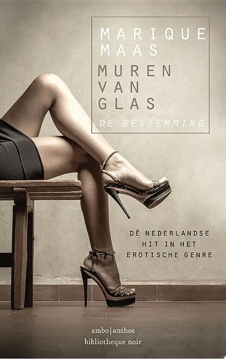 Cover image of De bestemming