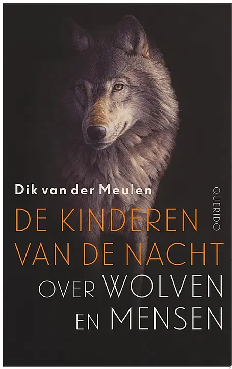 Cover image of De kinderen van de nacht